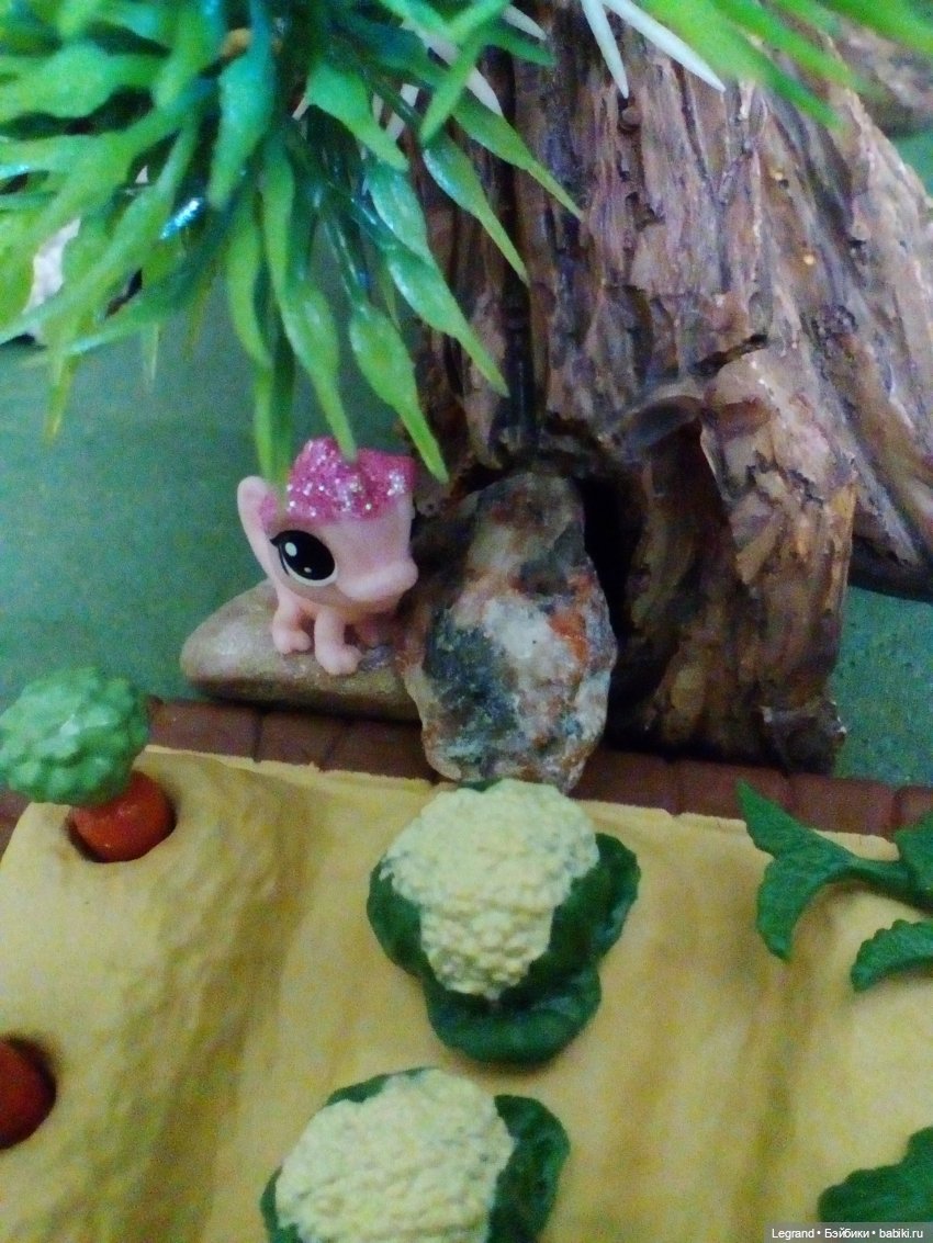 Сказки Соланж. Кактус: история любви. Маленький, наглый и в кепке