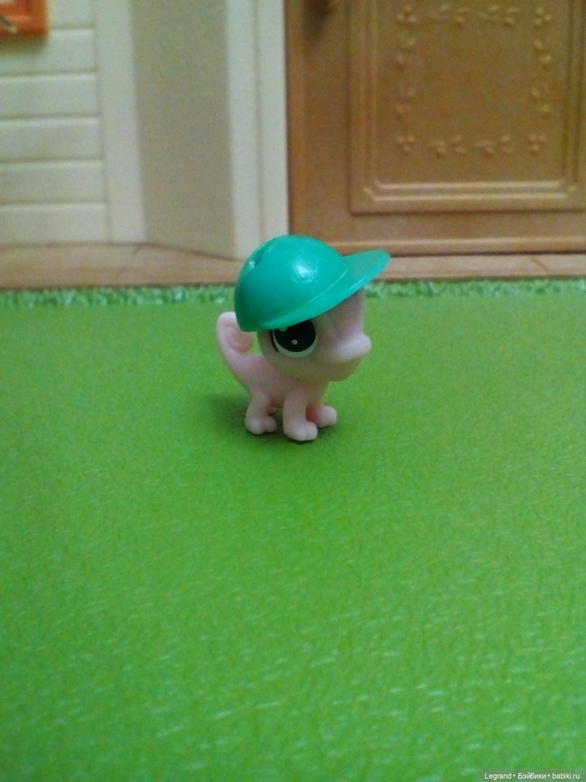 Сказки Соланж. Кактус: история любви. Маленький, наглый и в кепке (фото 5)