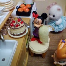 Сказки Соланж. Кактус: история любви. Подготовка к свадьбе