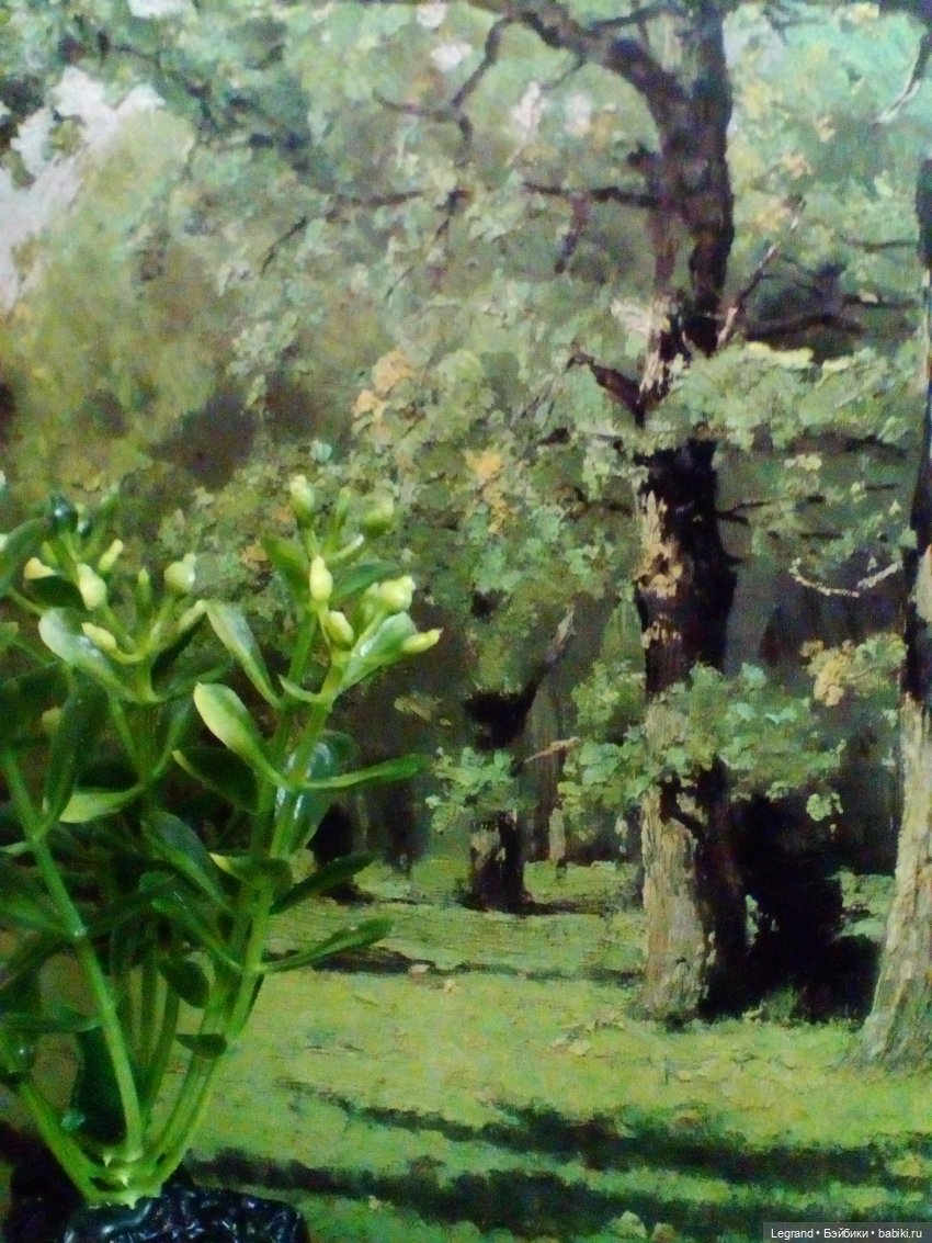 Сказки Соланж. Кактус: история любви. Сахара и Бамбу гостят у лесных друзей