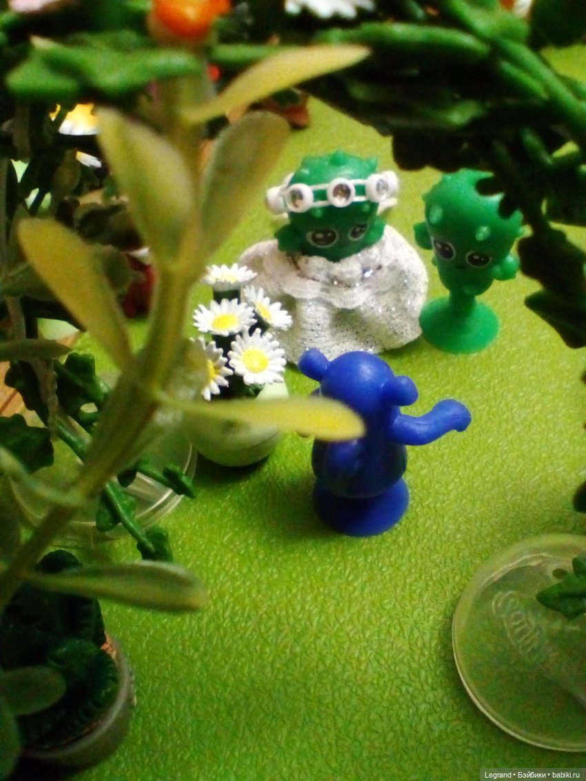 Сказки Соланж. Кактус: история любви. Свадьба. Часть первая