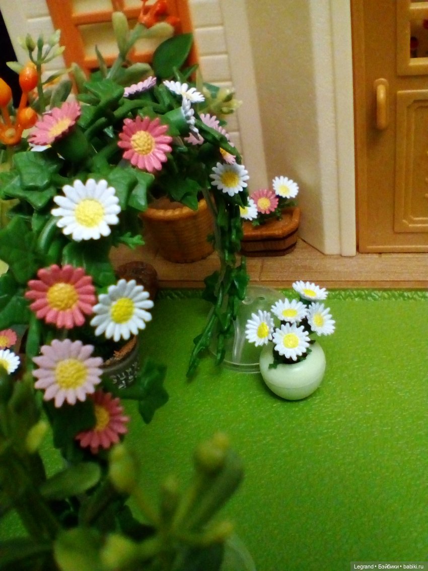 Сказки Соланж. Кактус: история любви. Свадьба. Часть первая