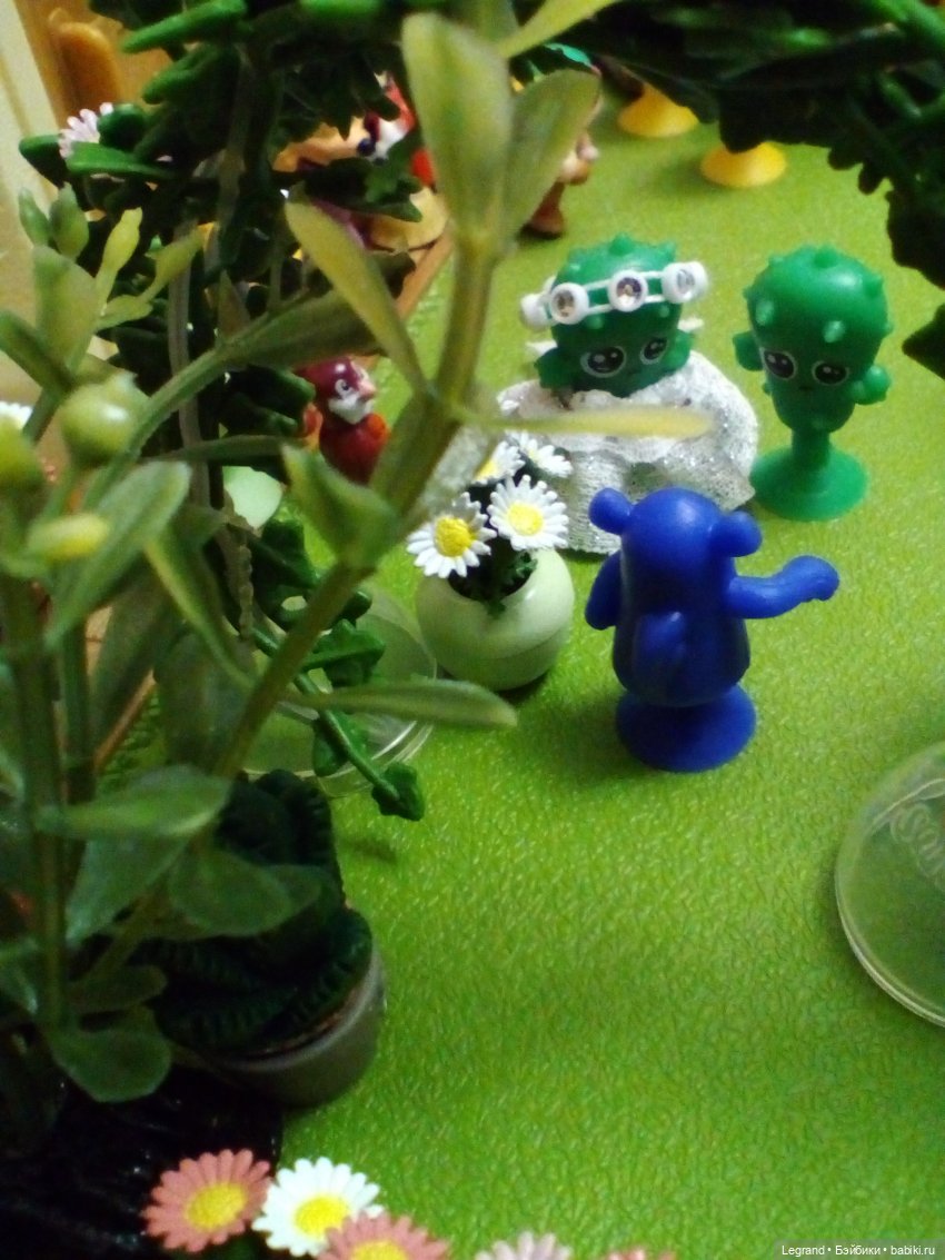 Сказки Соланж. Кактус: история любви. Свадьба. Часть первая