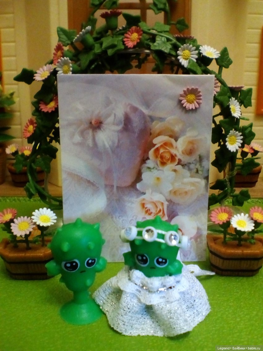 Сказки Соланж. Кактус: история любви. Свадьба. Часть вторая