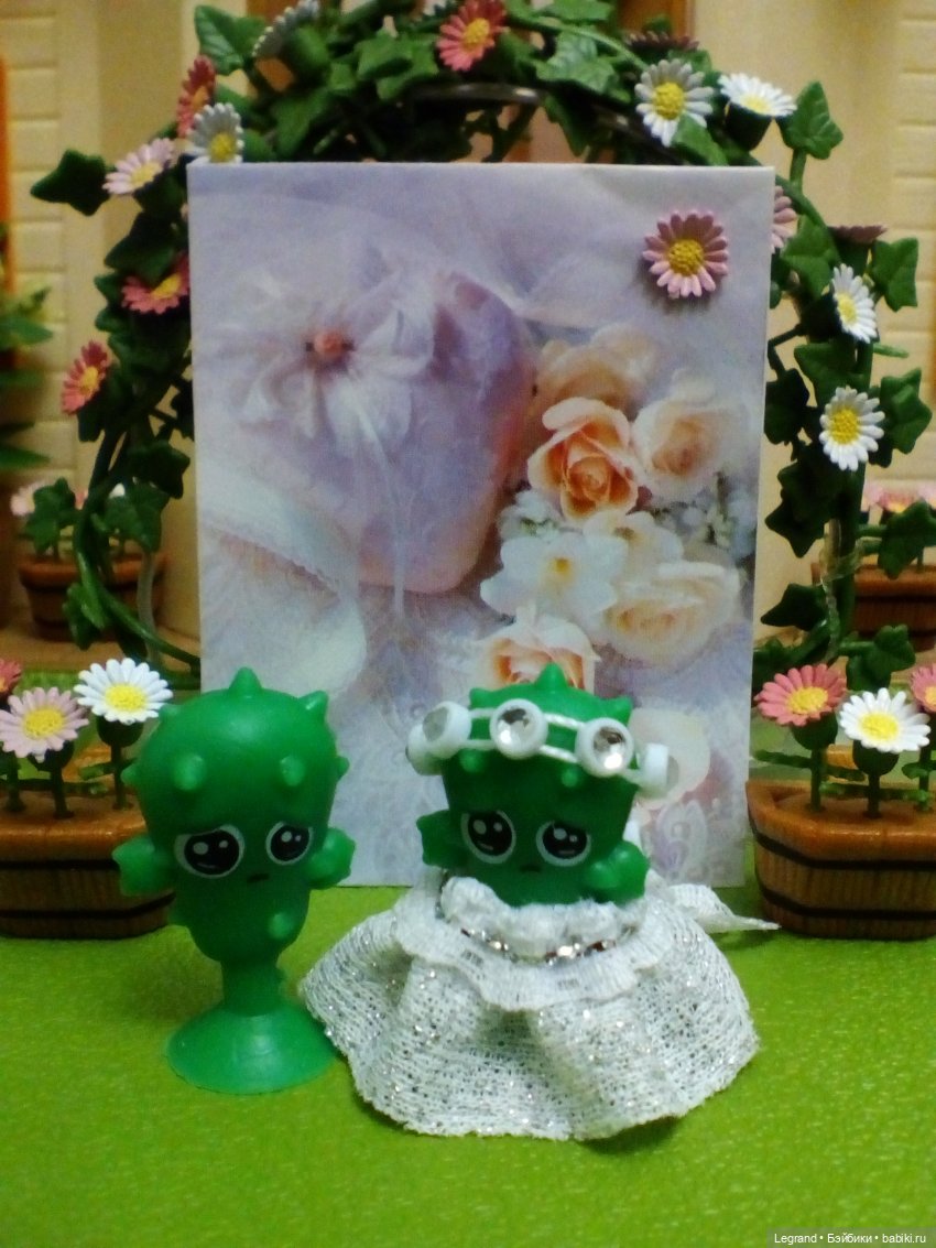 Сказки Соланж. Кактус: история любви. Свадьба. Часть вторая