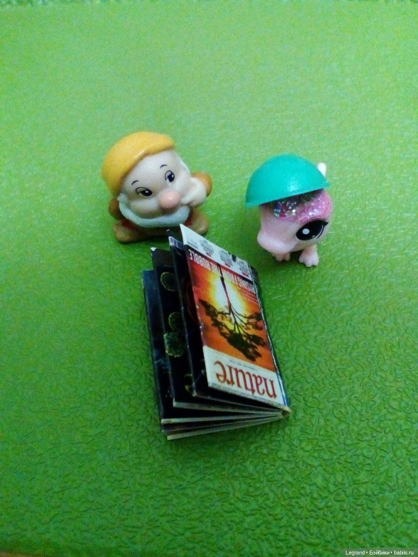 Сказки Соланж. Кактус: история любви. На следующее утро после свадьбы