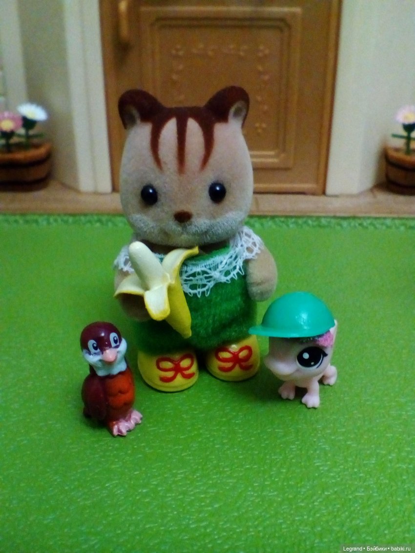 Сказки Соланж. Кактус: история любви. На следующее утро после свадьбы