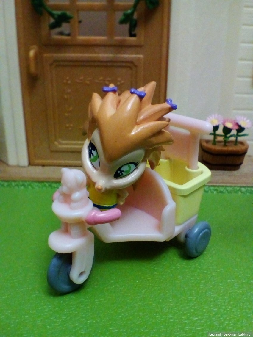 Сказки Соланж. Кактус: история любви. На следующее утро после свадьбы