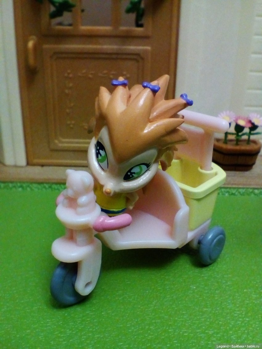 Сказки Соланж. Кактус: история любви. На следующее утро после свадьбы