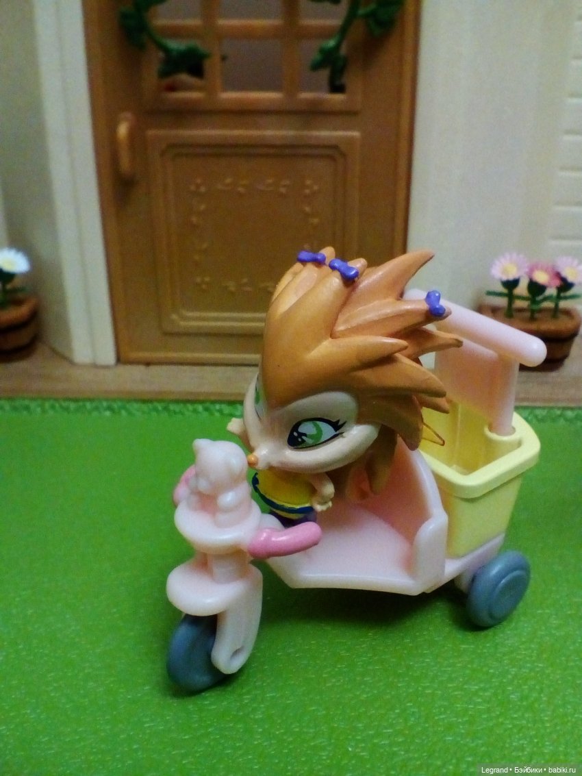 Сказки Соланж. Кактус: история любви. На следующее утро после свадьбы