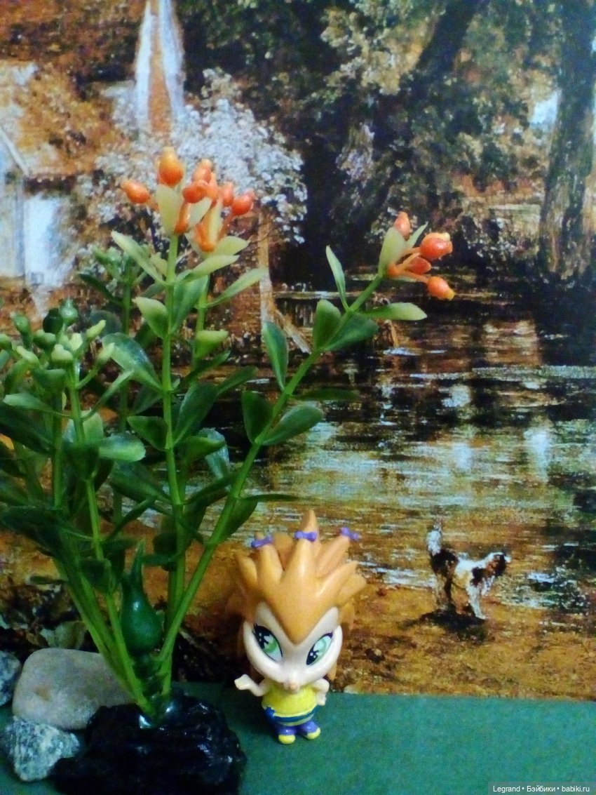 Сказки Соланж. Кактус: история любви. Что было дальше