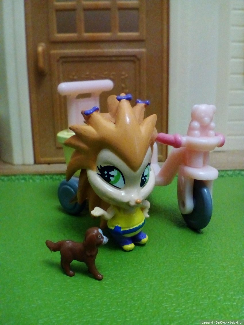 Сказки Соланж. Кактус: история любви. Что было дальше