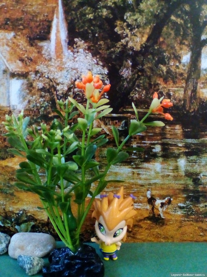 Сказки Соланж. Кактус: история любви. Что было дальше