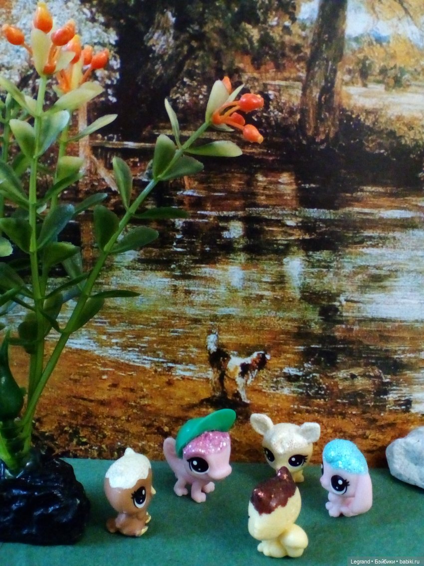 Сказки Соланж. Кактус: история любви. Что было дальше