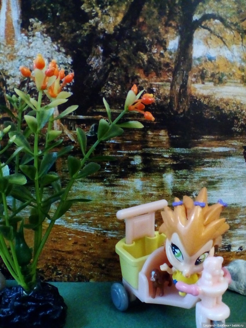 Сказки Соланж. Кактус: история любви. Что было дальше