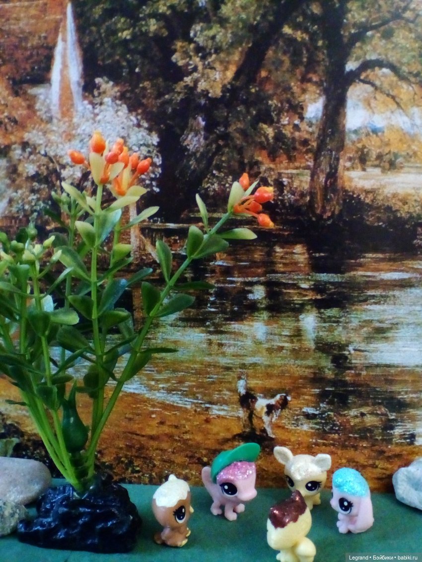 Сказки Соланж. Кактус: история любви. Что было дальше