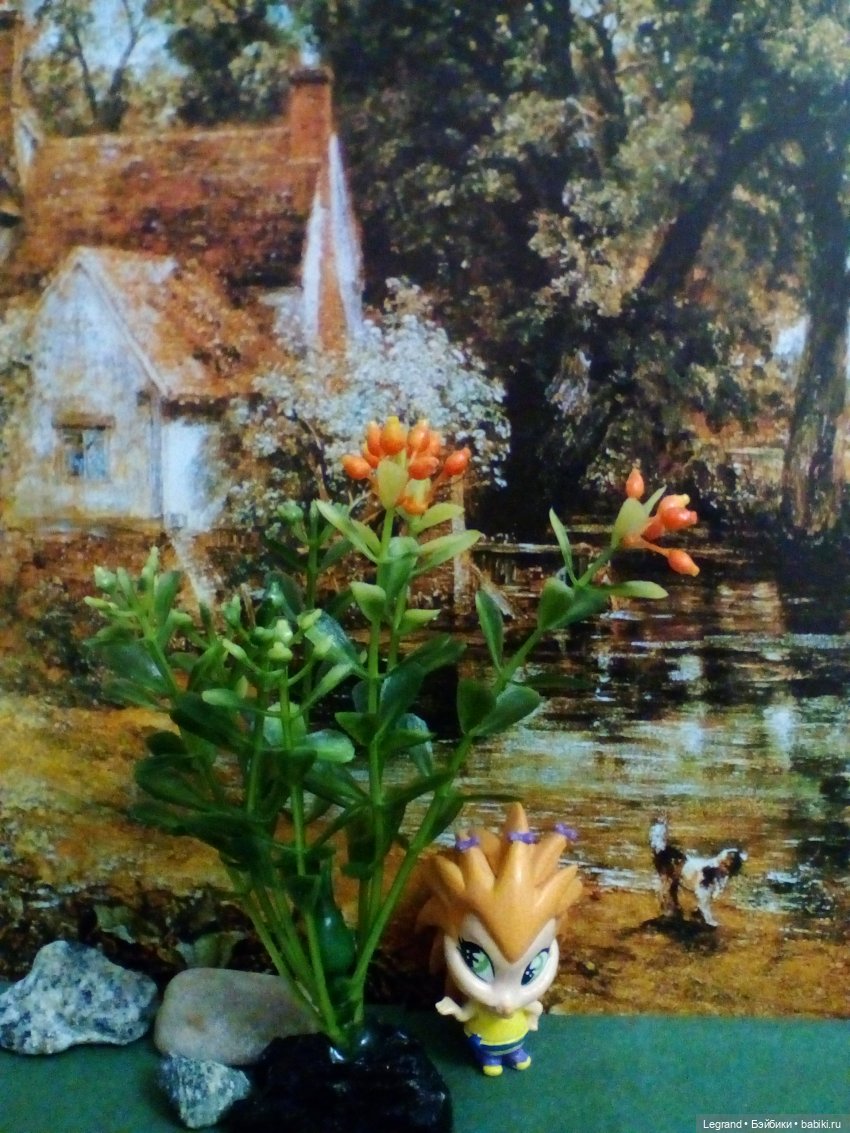 Сказки Соланж. Кактус: история любви. Что было дальше