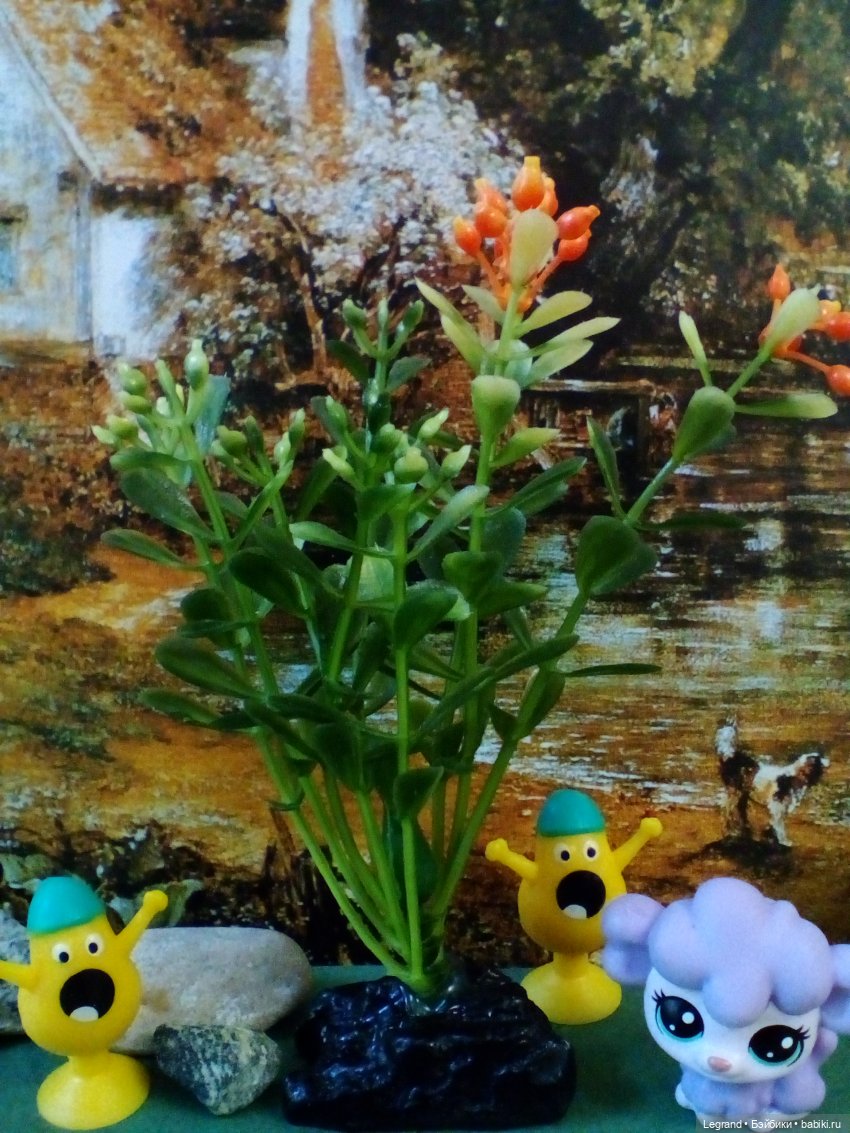 Сказки Соланж. Кактус: история любви. Что было дальше