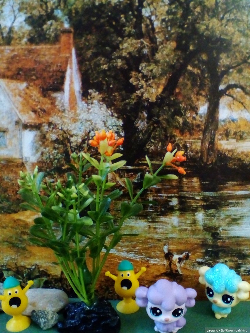 Сказки Соланж. Кактус: история любви. Что было дальше