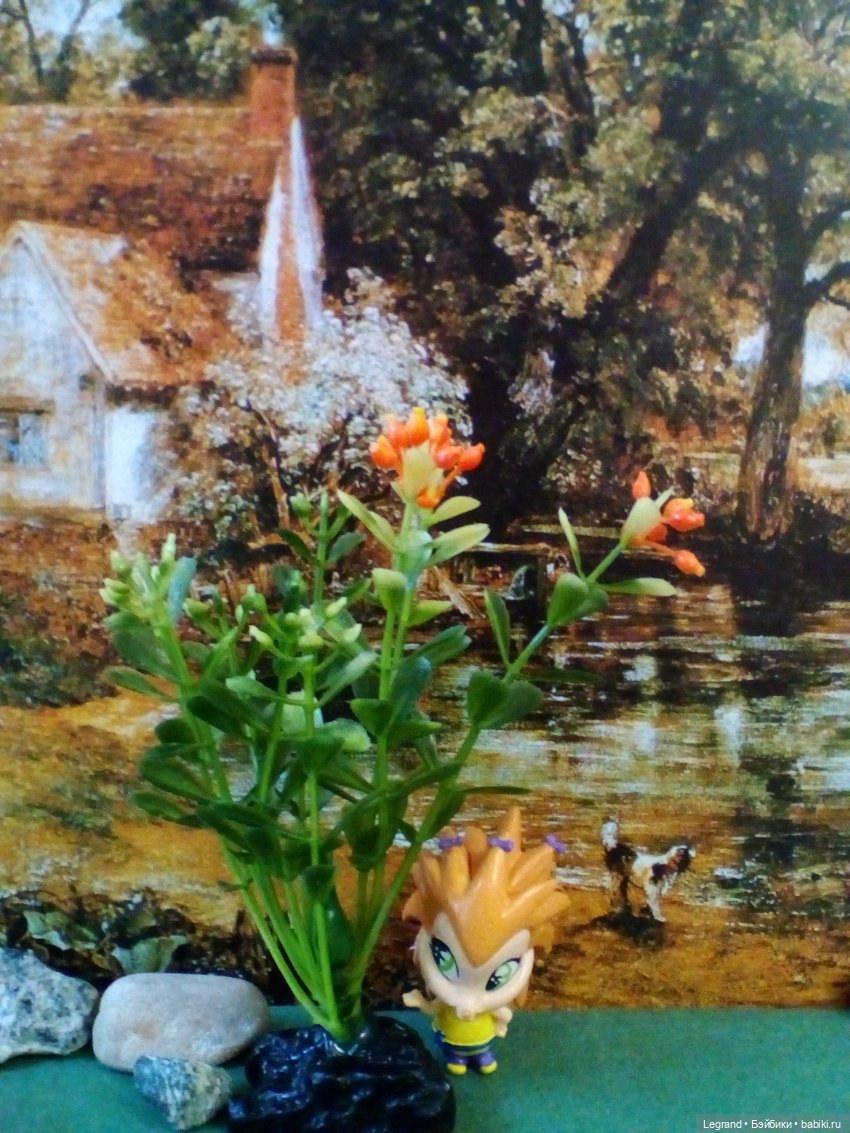 Сказки Соланж. Кактус: история любви. Что было дальше