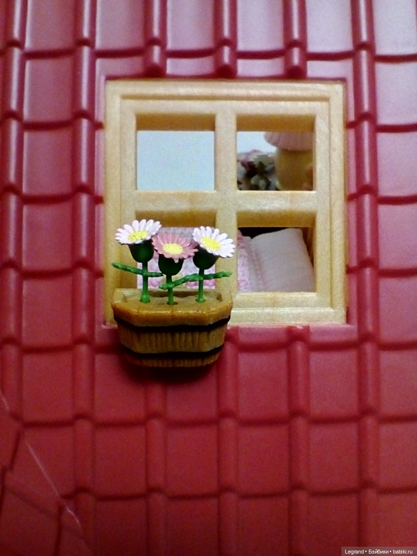 Сказки Соланж. Кактус: история любви. Что было дальше