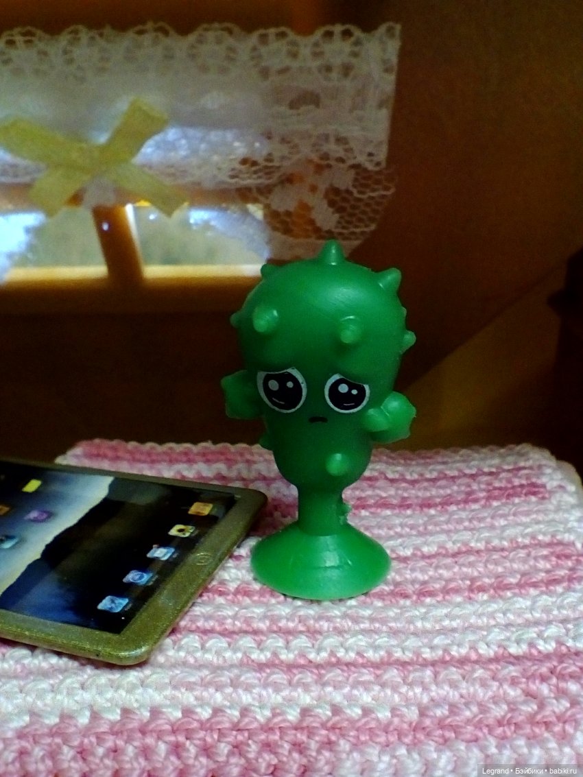 Сказки Соланж. Кактус: история любви. Что было дальше