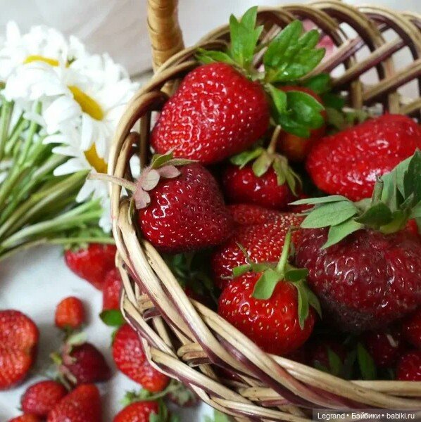 И лето настанет... Стихи Лестата