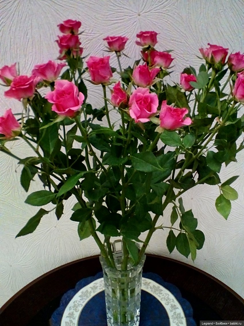 Розы и Лиу — Куклы Paola Reina (Паола Рейна): новинки