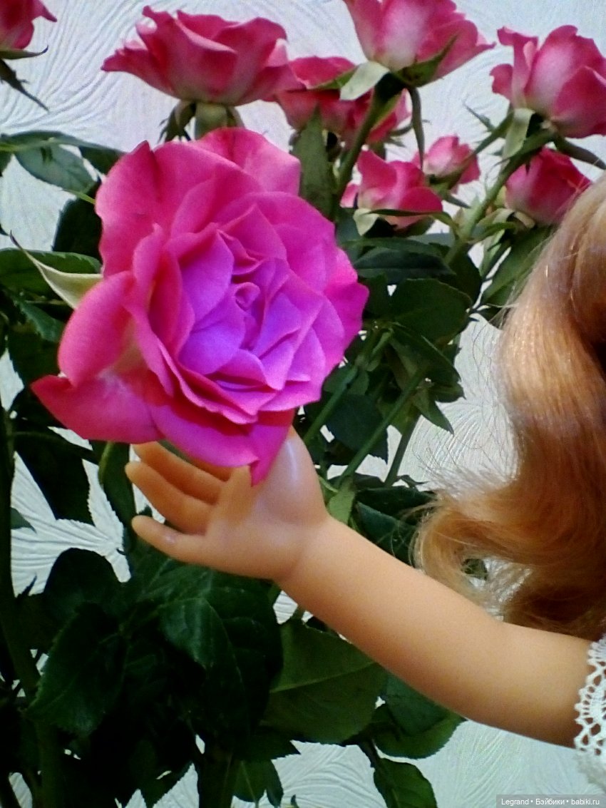 Фредерика и розы — Куклы Paola Reina (Паола Рейна): новинки