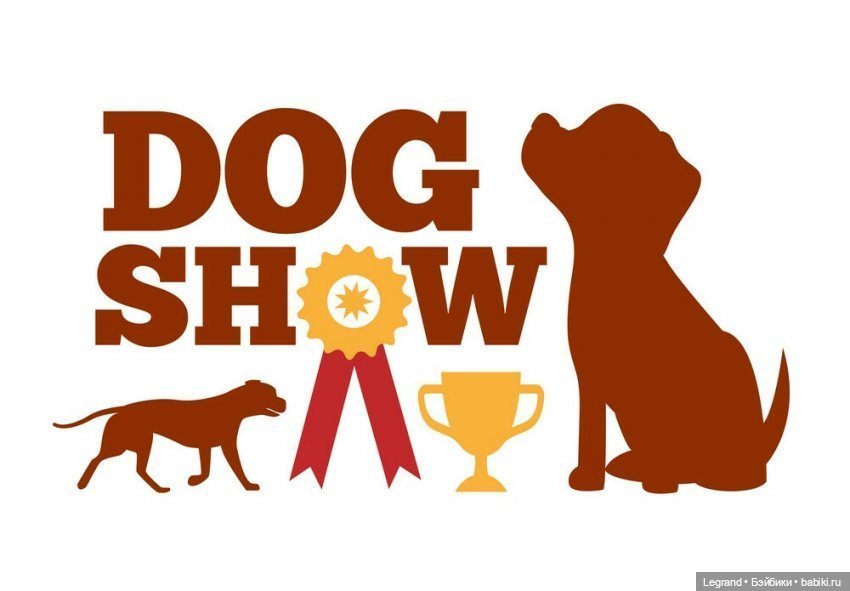 27 апреля - День маленькой избалованной собачки: Лукум