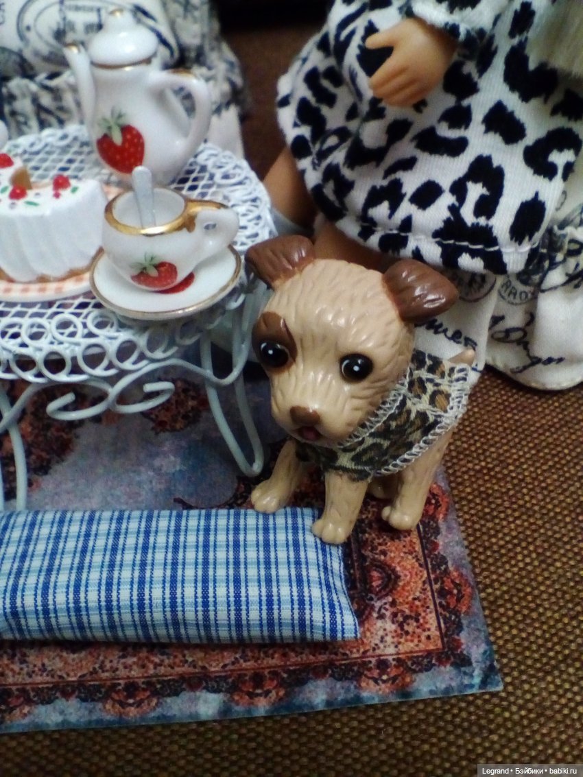 27 апреля - День маленькой избалованной собачки: Лукум