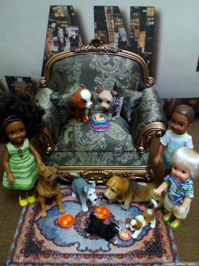 27 апреля - День маленькой избалованной собачки: Лукум