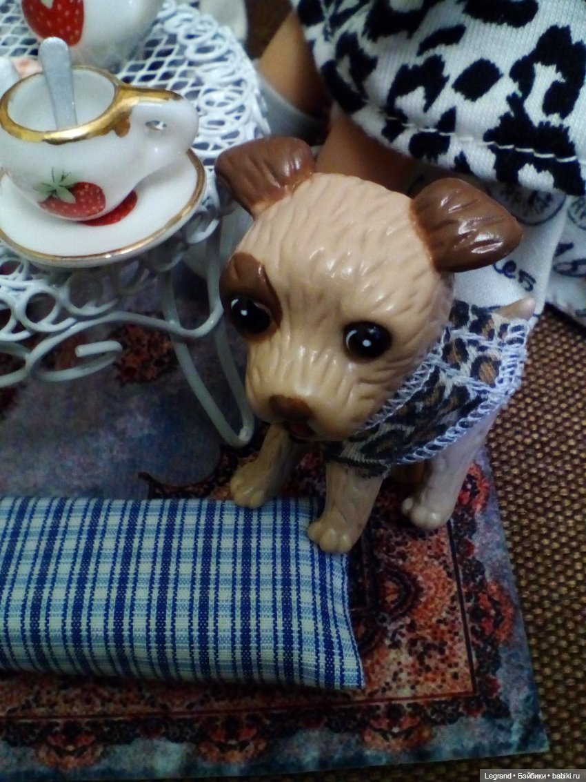 27 апреля - День маленькой избалованной собачки: Лукум