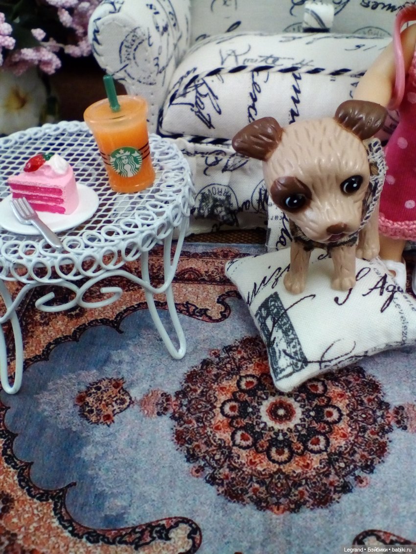 27 апреля - День маленькой избалованной собачки: Лукум