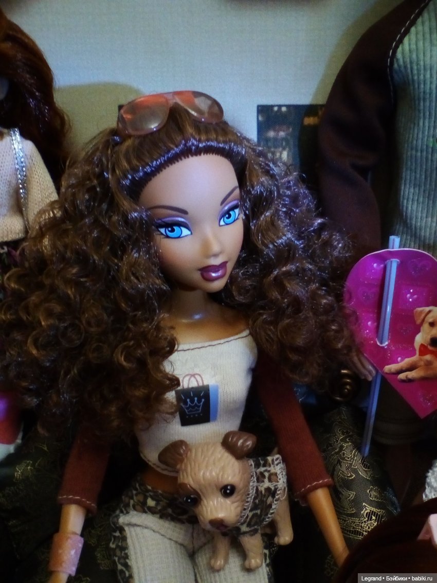 27 апреля - День маленькой избалованной собачки: Лукум (фото 10)