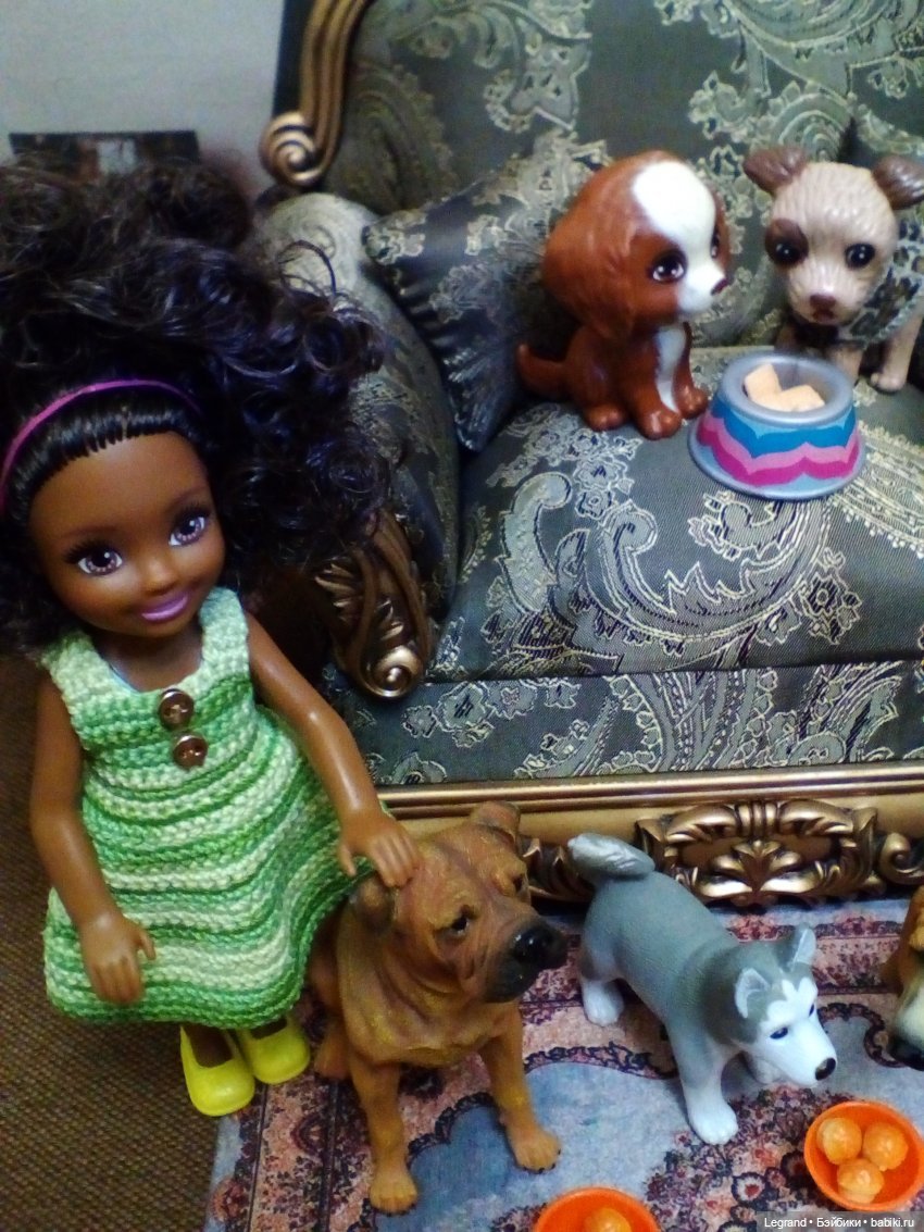 27 апреля - День маленькой избалованной собачки: Лукум