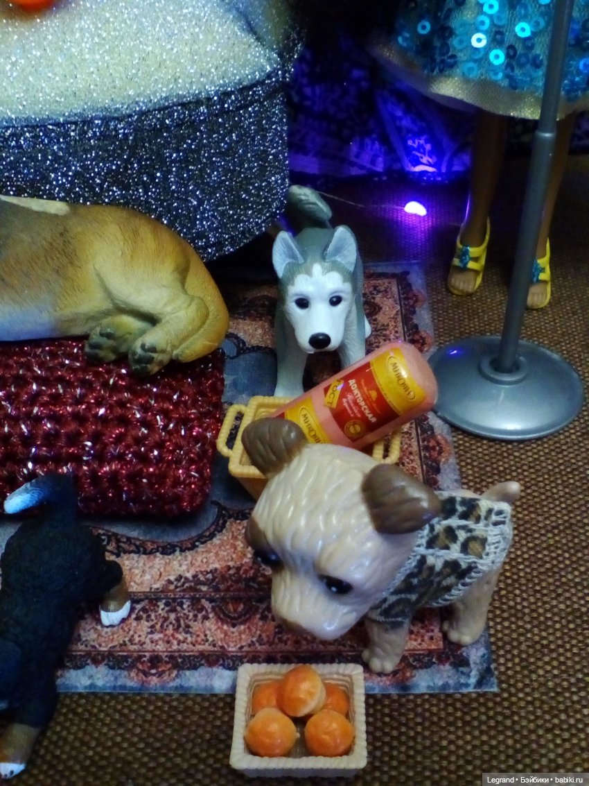 27 апреля - День маленькой избалованной собачки: Лукум