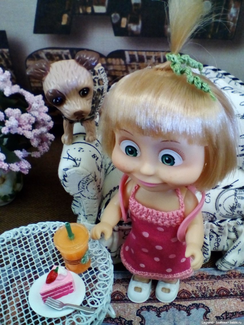 27 апреля - День маленькой избалованной собачки: Лукум