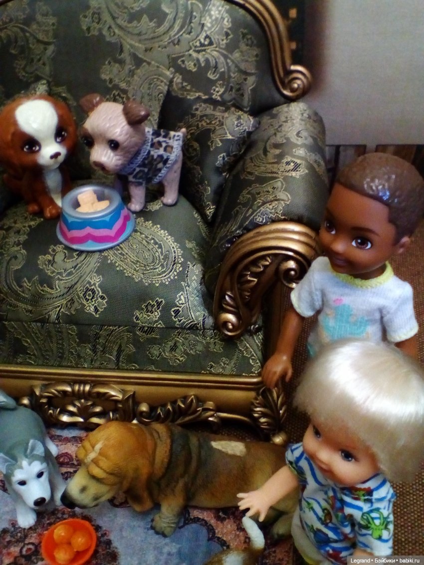 27 апреля - День маленькой избалованной собачки: Лукум