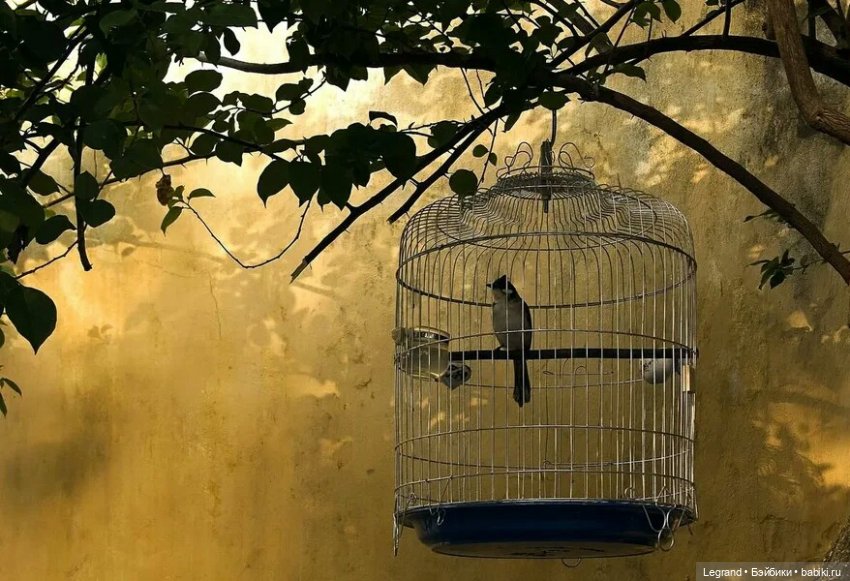 Восход. Стихи Жюльетты (май, 2013)