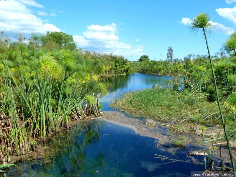 Я помню Нил и его берега... Стихи Жюльетты (фото 9)