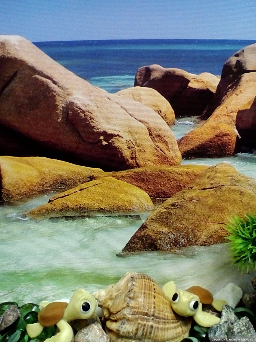 Лурения. Всемирный день черепахи и Джемма (фото 6)