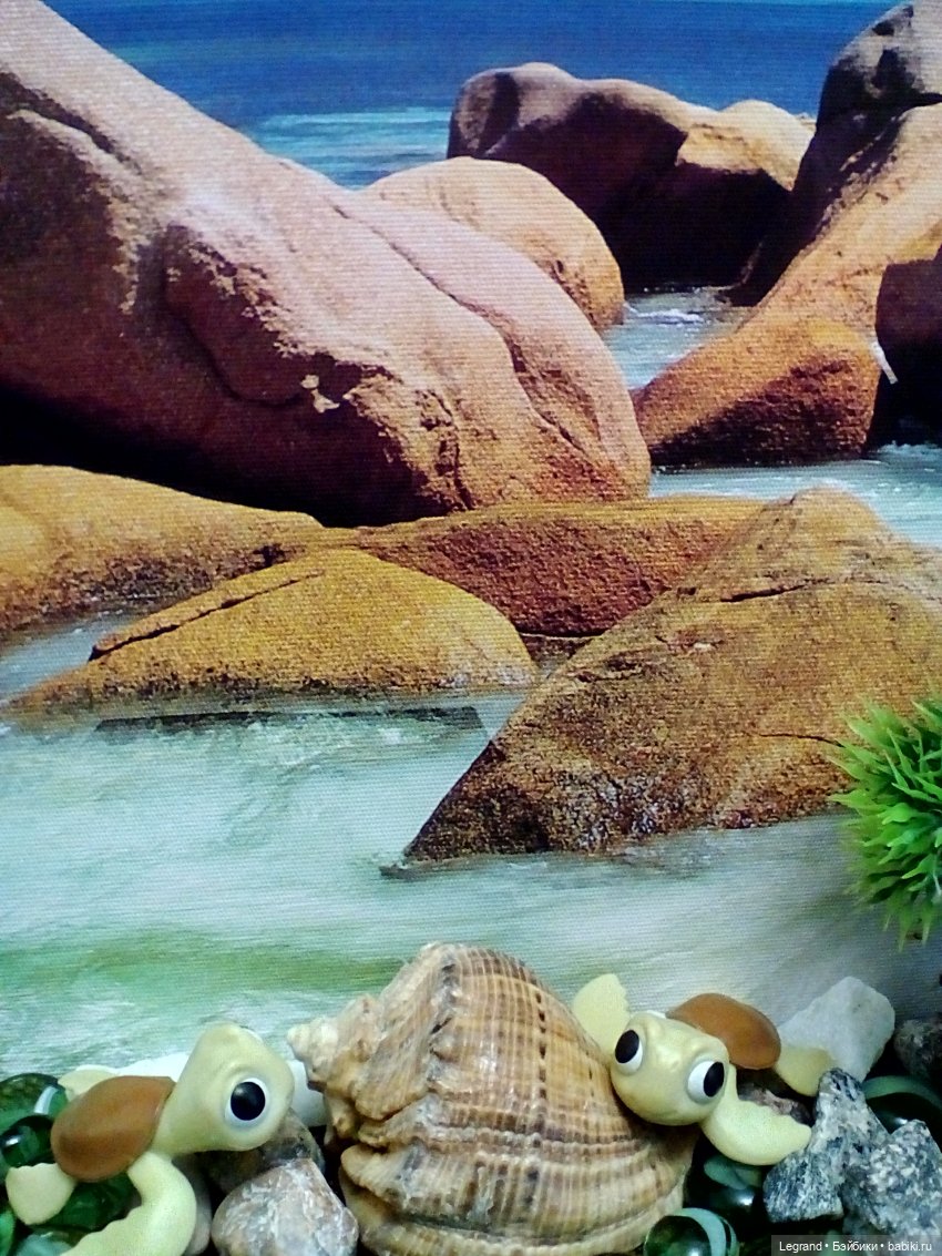 Лурения. Всемирный день черепахи и Джемма (фото 5)