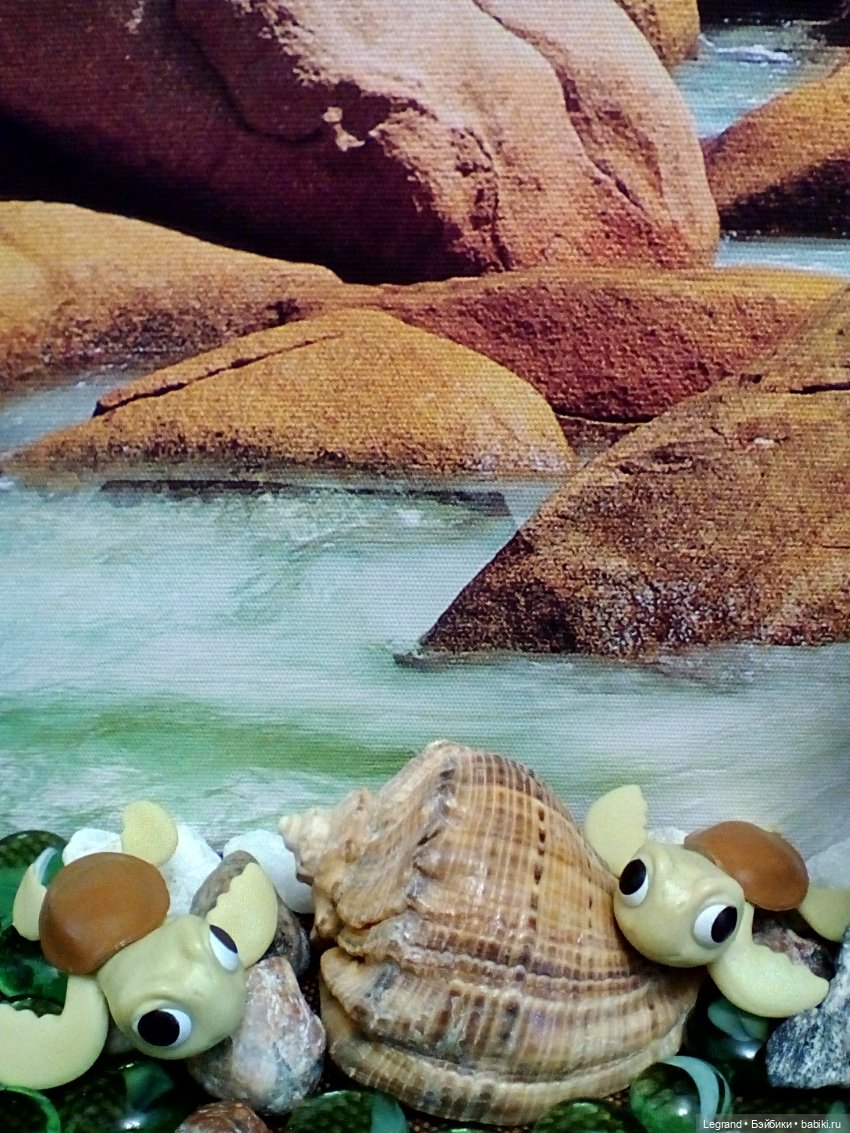 Лурения. Всемирный день черепахи и Джемма (фото 4)