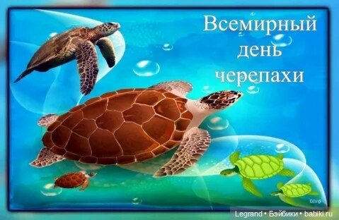 Лурения. Всемирный день черепахи и Джемма