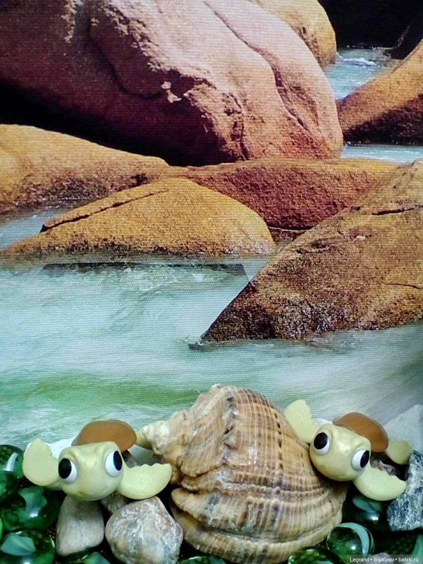 Лурения. Всемирный день черепахи и Джемма (фото 3)