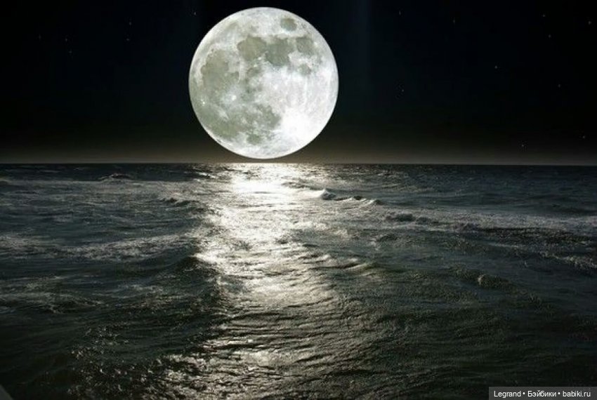 Они сами пишут свои истории: Блонди, Аполлинер, Лестат