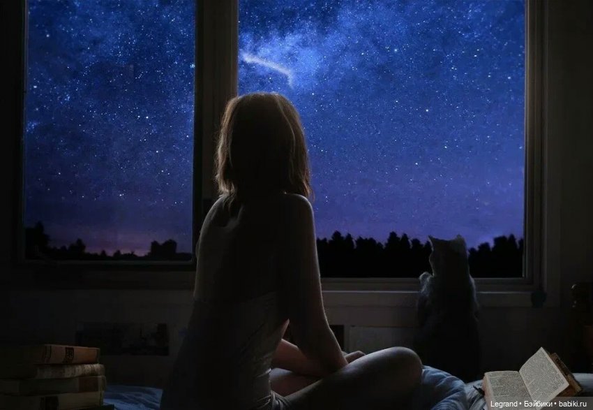 Они сами пишут свои истории: Блонди и Эллис