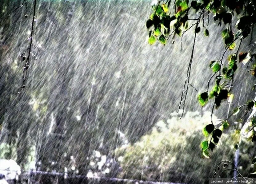 Эллис и Блонди. Стихи. Эхо друг друга (фото 5)