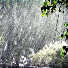 Эллис и Блонди. Стихи. Эхо друг друга